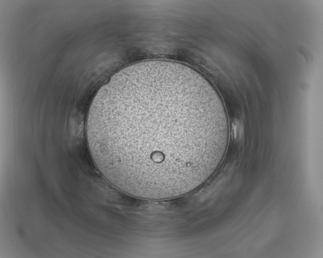 X0000113901251200910151348