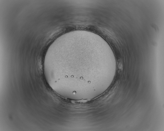 X0000113901252200910151348