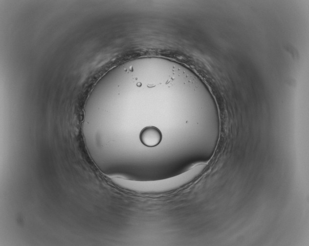 X0000113901253200910151348