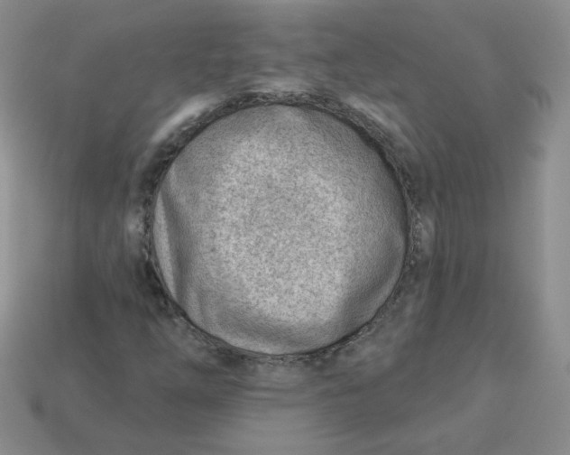 X0000113901254200910151348