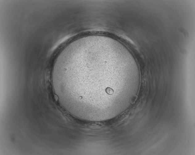 X0000113901255200910151348