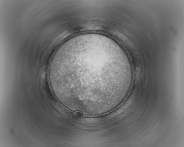 X0000113901257200910151348