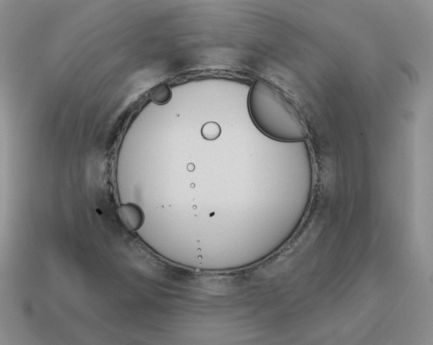 X0000113901258200910151348