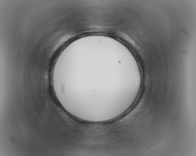 X0000113901259200910151348