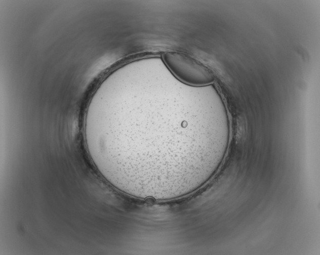 X0000113901261200910151348