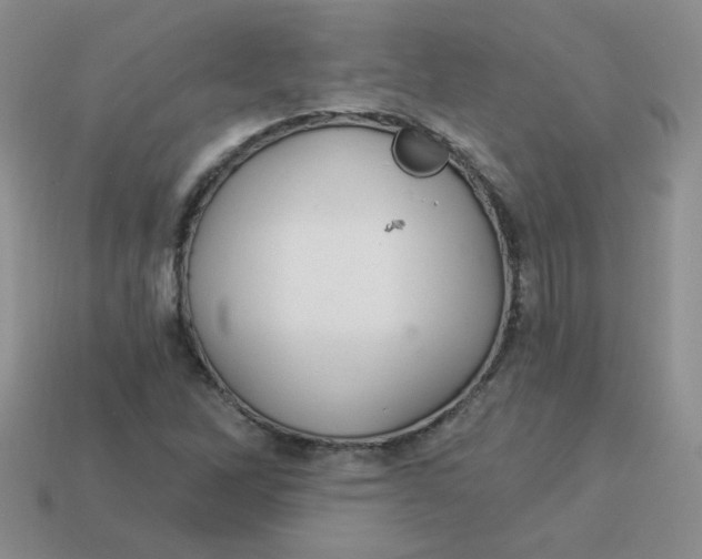 X0000113901262200910151348