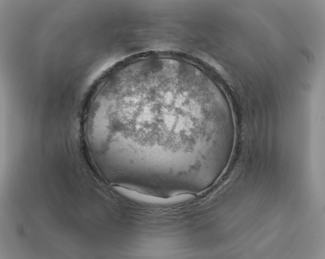 X0000113901263200910151348