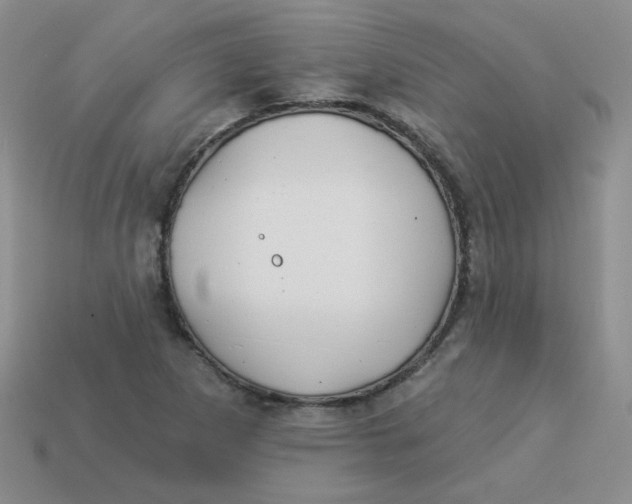 X0000113901265200910151348