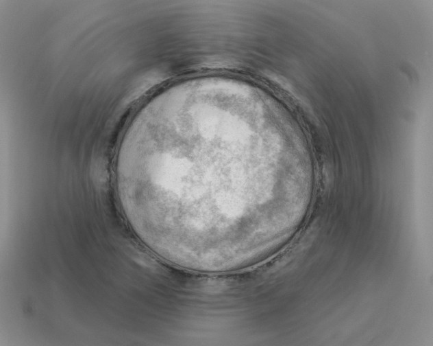 X0000113901266200910151348