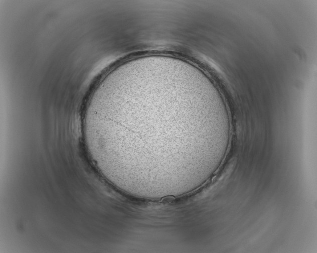 X0000113901267200910151348