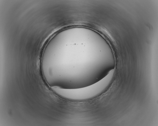 X0000113901268200910151348