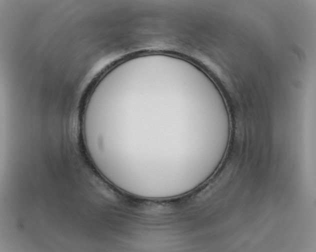 X0000113901270200910151348