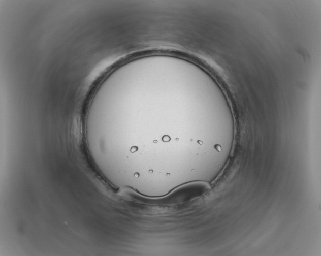 X0000113901271200910151348