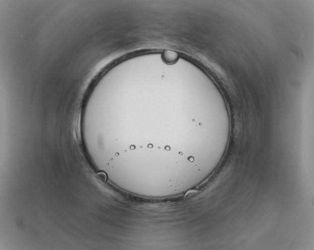 X0000113901272200910151348