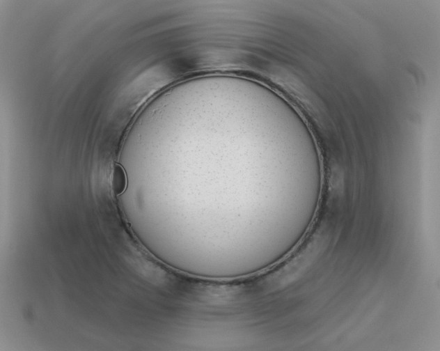 X0000113901273200910151348