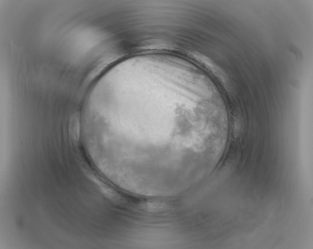 X0000113901274200910151348