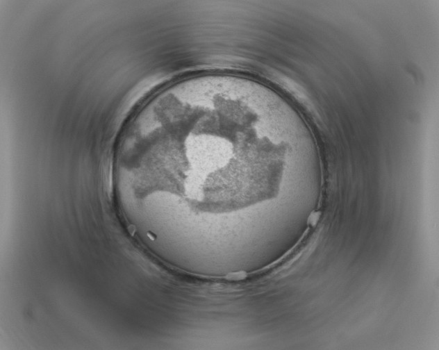 X0000113901275200910151348