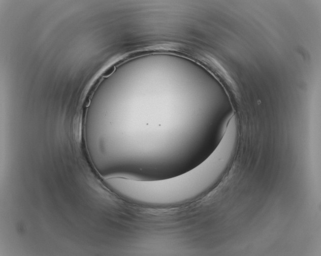 X0000113901276200910151348