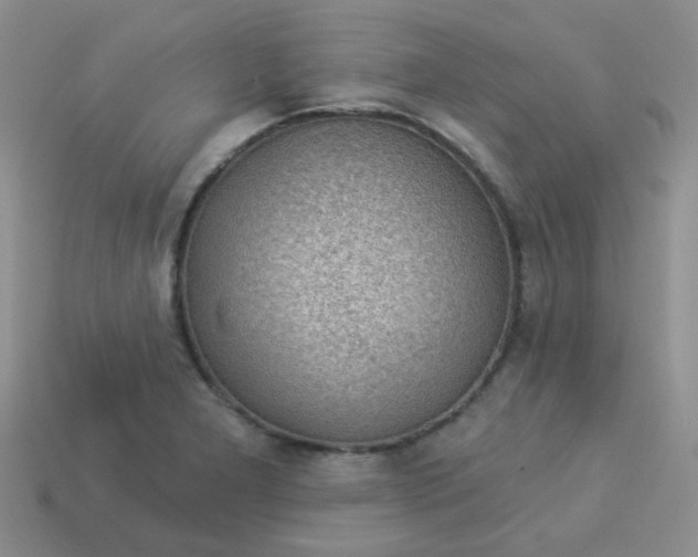 X0000113901277200910151347