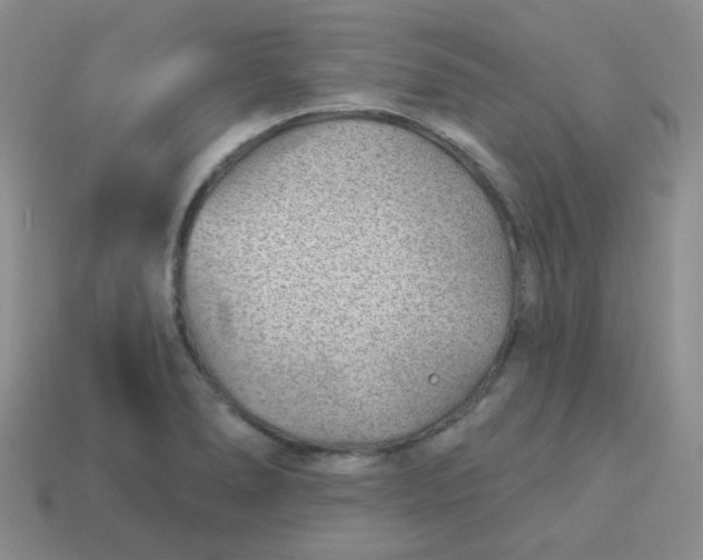 X0000113901278200910151347