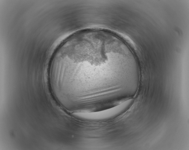 X0000113901279200910151347