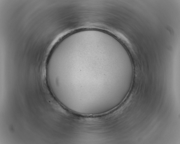 X0000113901280200910151347