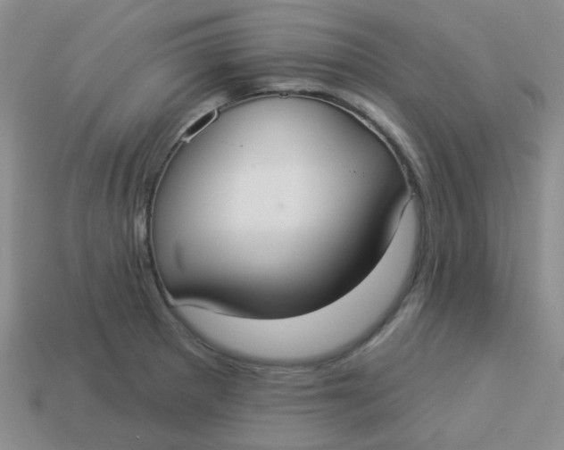 X0000113901281200910151347