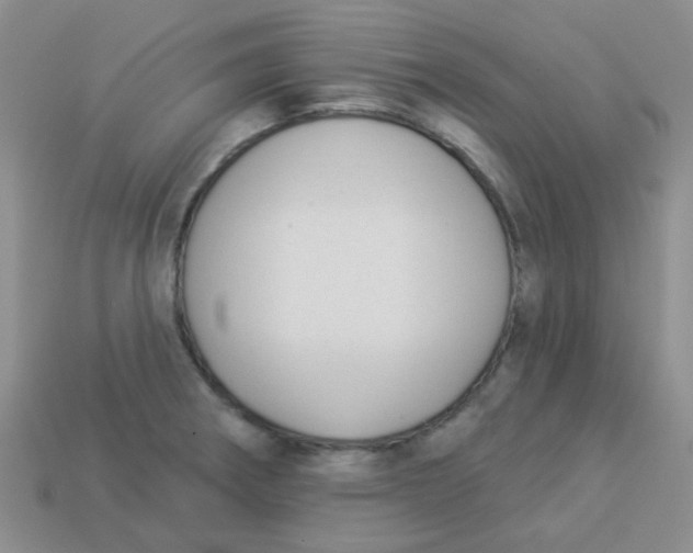 X0000113901282200910151347