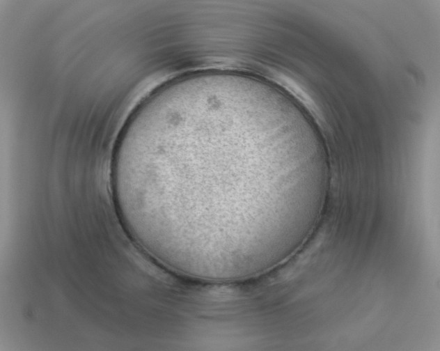 X0000113901283200910151347