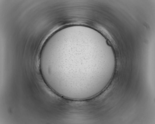 X0000113901284200910151347