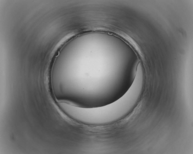 X0000113901285200910151347