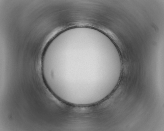 X0000113901286200910151347