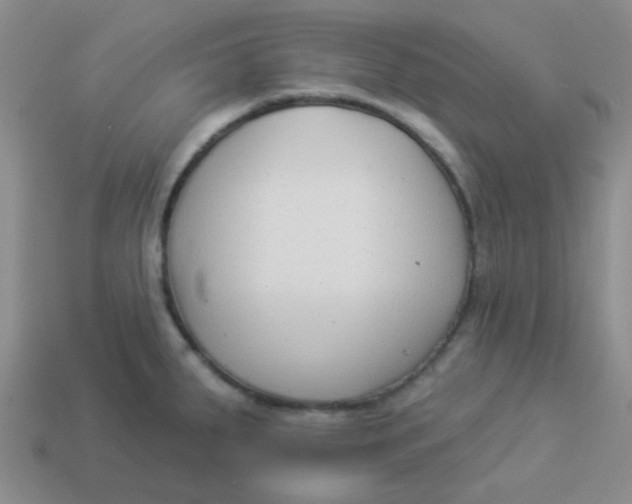 X0000113901287200910151347