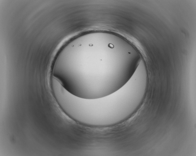 X0000113901288200910151347