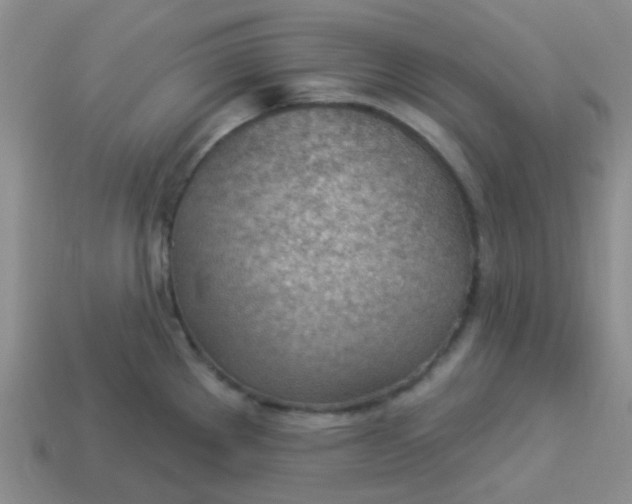 X0000113901289200910151347