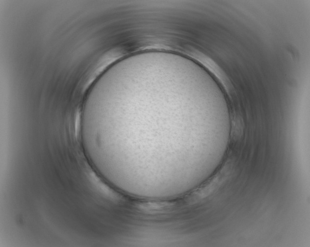 X0000113901290200910151347