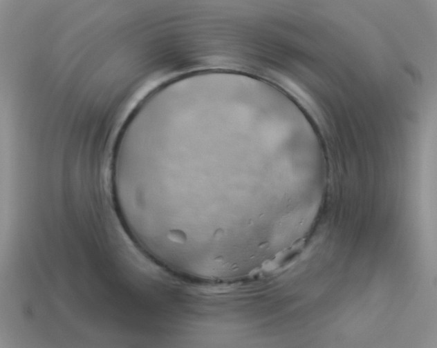 X0000113901291200910151347