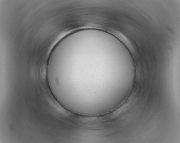 X0000113901292200910151347