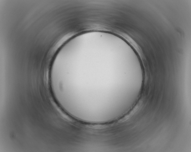 X0000113901293200910151347