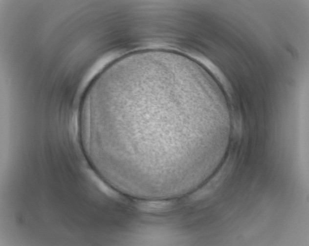 X0000113901294200910151347