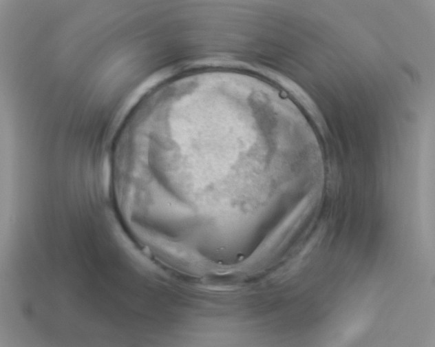 X0000113901295200910151347