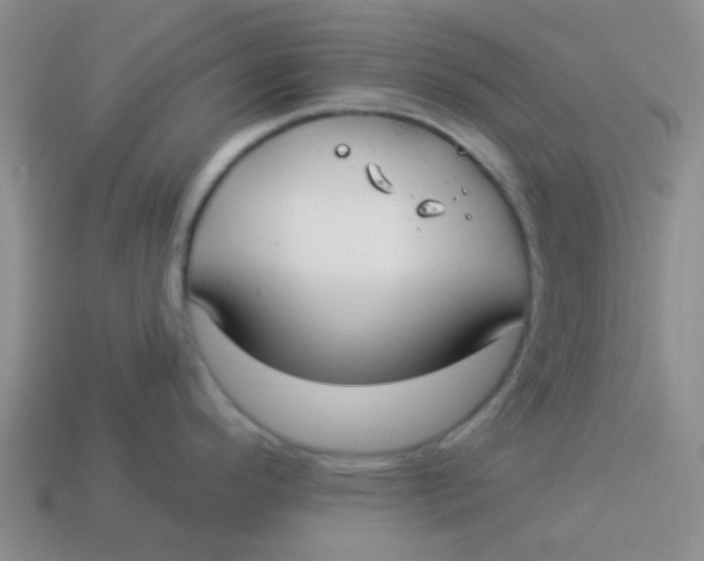 X0000113901296200910151347