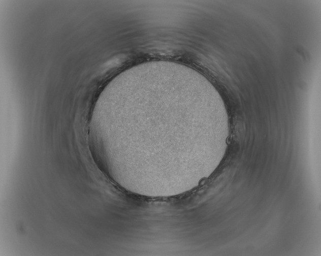 X0000113901297200910151347