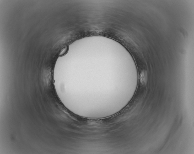 X0000113901299200910151347