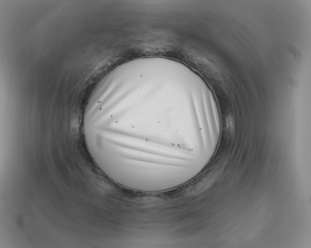 X0000113901300200910151347