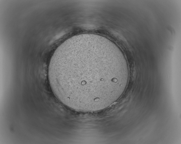 X0000113901301200910151347