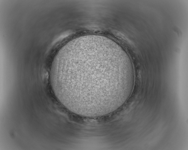 X0000113901302200910151347