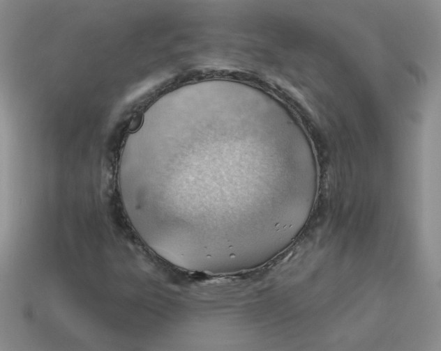 X0000113901303200910151347