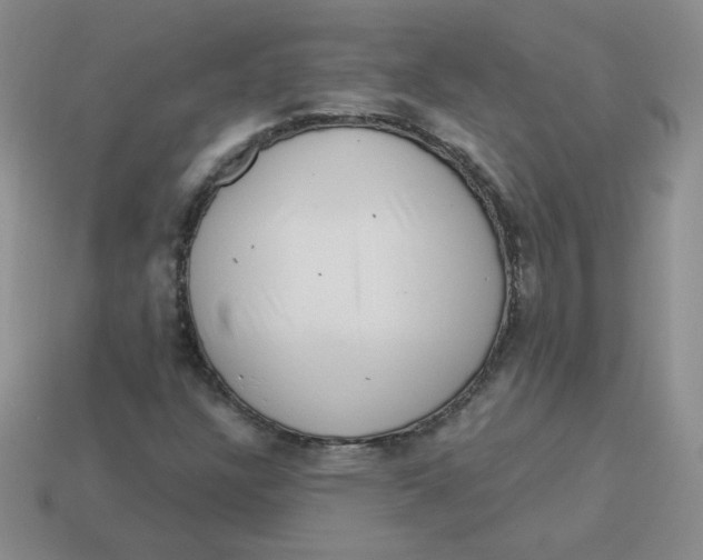 X0000113901304200910151347