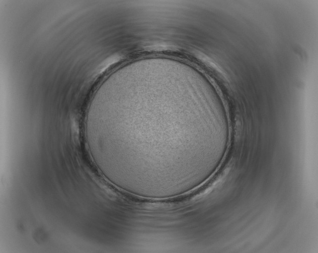 X0000113901305200910151347